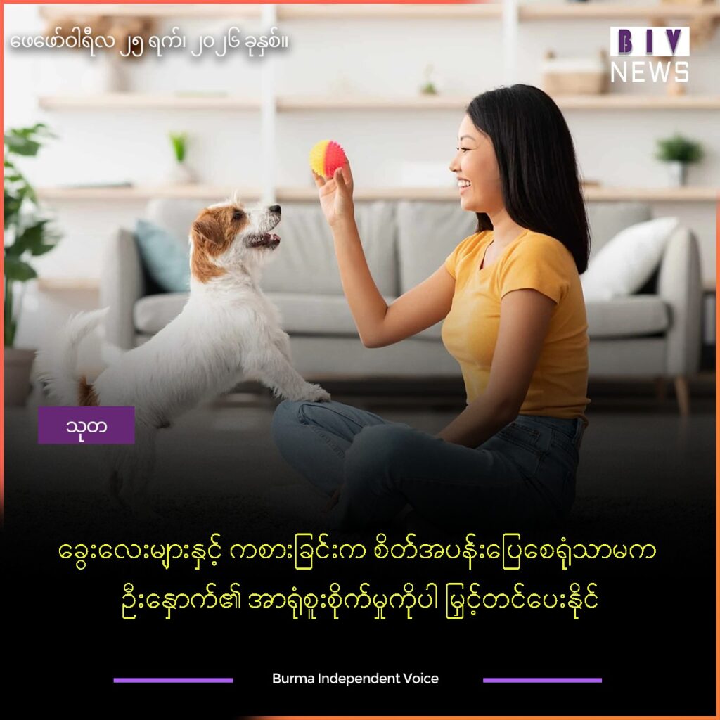 ခွေးလေးများနှင့် ကစားခြင်းက စိတ်အပန်းပြေစေရုံသာမက ဦးနှောက်၏ အာရုံစူးစိုက်မှုကိုပါ မြှင့်တင်ပေးနိုင်