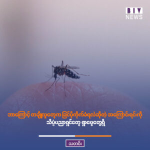 ဘာကြောင့် တချို့လူတွေက ခြင်ပိုကိုက်ခံရလဲဆိုတဲ့ အကြောင်းရင်းကို သိပ္ပံပညာရှင်တွေ ရှာဖွေတွေ့ရှိ