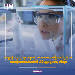 တိရစ္ဆာန်တွေရဲ့ အမူအရာကို ဘာသာစကားလိုမျိုး ဖတ်ရှုနိုင်တဲ့ AI မော်ဒယ်သစ်ကို သိပ္ပံပညာရှင်တွေ တီထွင်