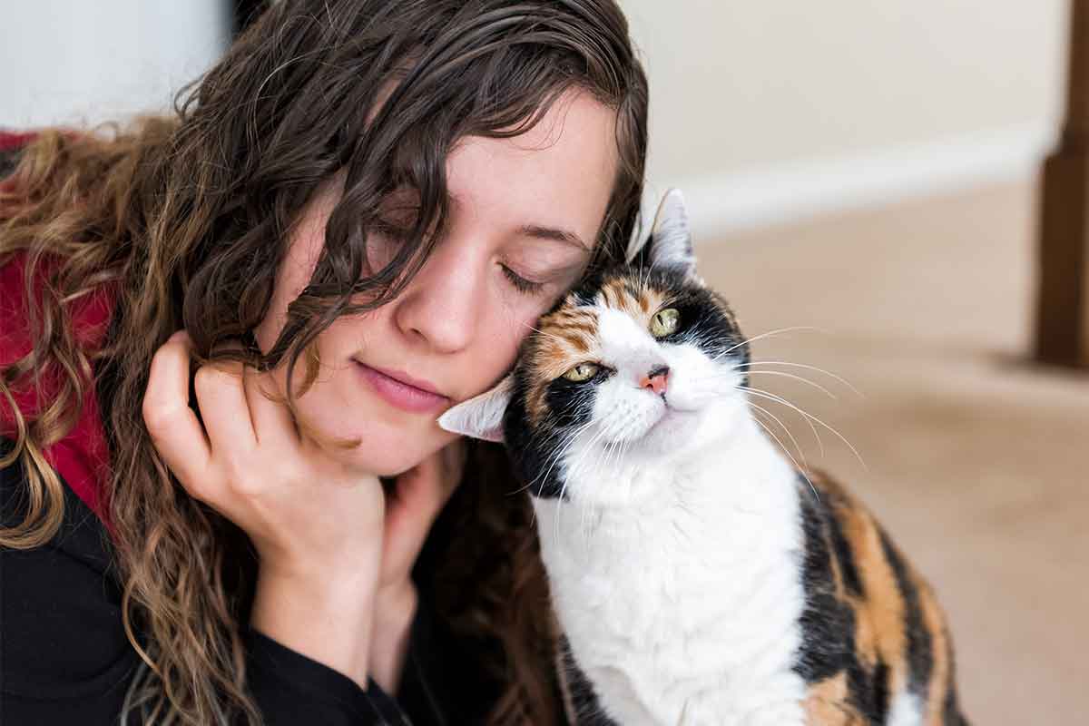 docatsloveusfeatured